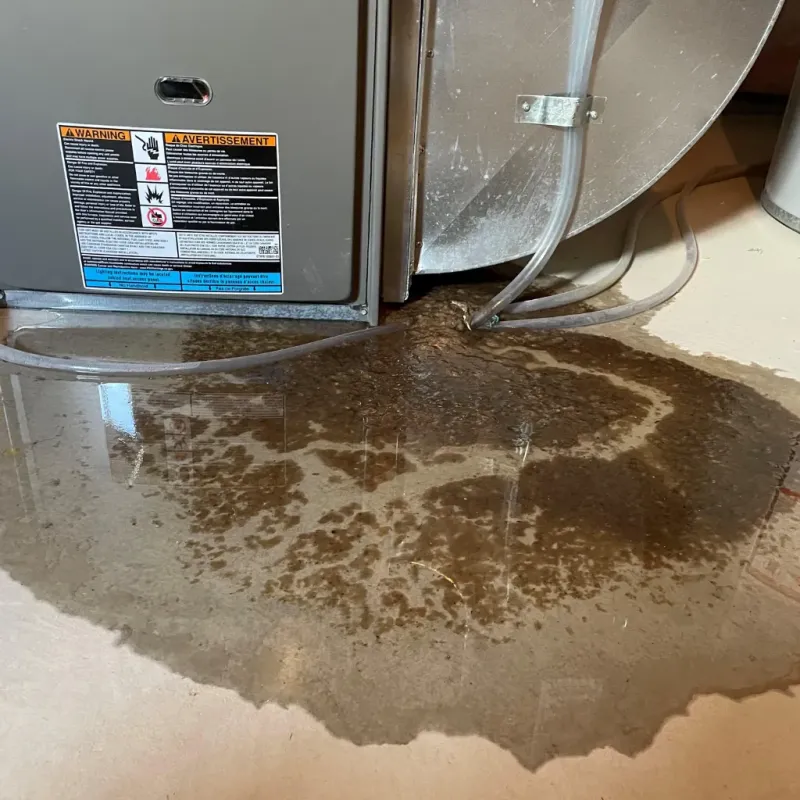 Appliance Leak Cleanup in Slippery Rock, PA